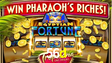 A Emoção da Loteria na 56d: Uma Chance de Mudança de Vida